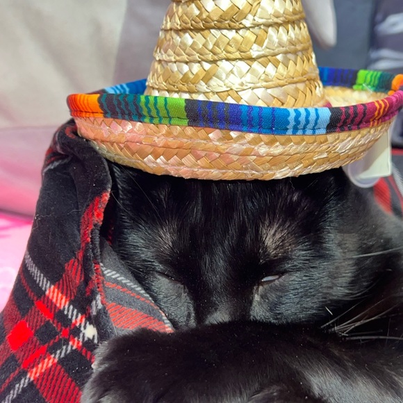 sombrero straw hat for dolls *BRAND NEW - Picture 4 of 5